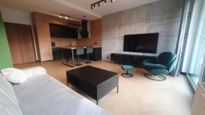 Apartament LOFT